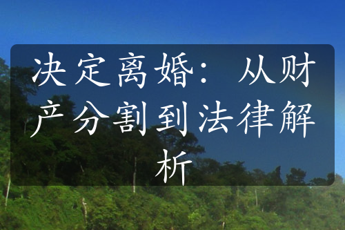 决定离婚：从财产分割到法律解析