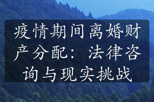 疫情期间离婚财产分配：法律咨询与现实挑战