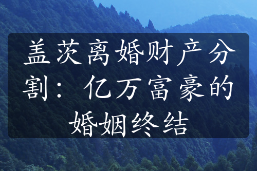 盖茨离婚财产分割：亿万富豪的婚姻终结