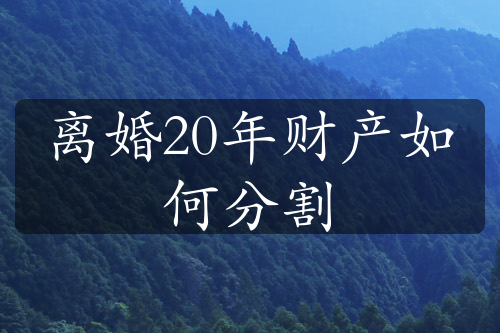 离婚20年财产如何分割