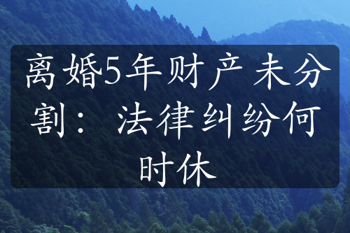 离婚5年财产未分割：法律纠纷何时休