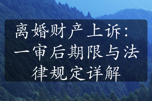 离婚财产上诉：一审后期限与法律规定详解