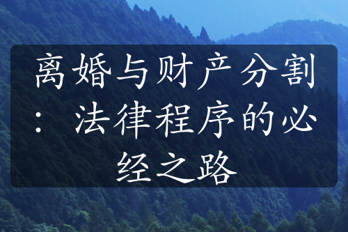 离婚与财产分割：法律程序的必经之路