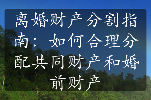 离婚财产分割指南：如何合理分配共同财产和婚前财产