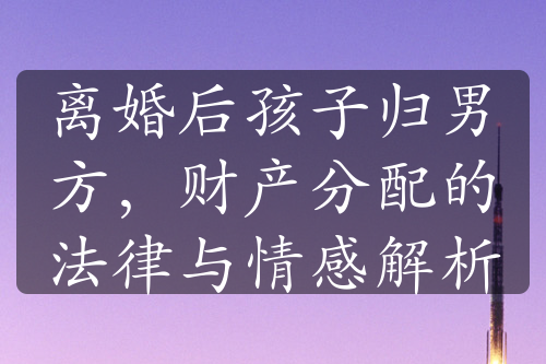 离婚后孩子归男方，财产分配的法律与情感解析