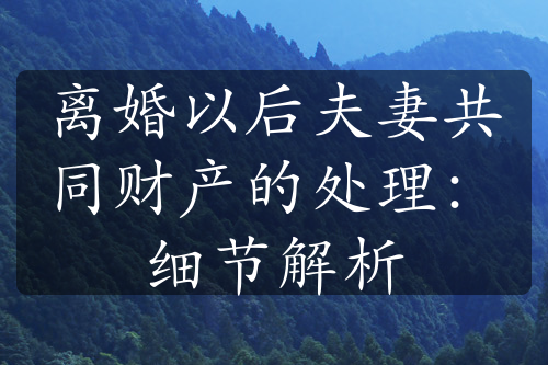 离婚以后夫妻共同财产的处理：细节解析