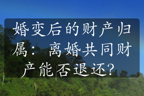 婚变后的财产归属：离婚共同财产能否退还？