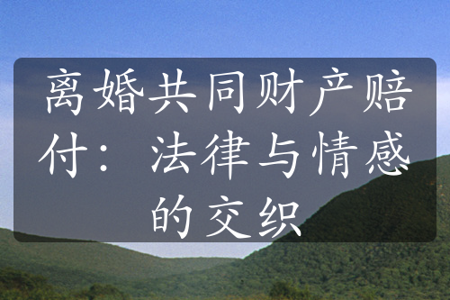 离婚共同财产赔付：法律与情感的交织