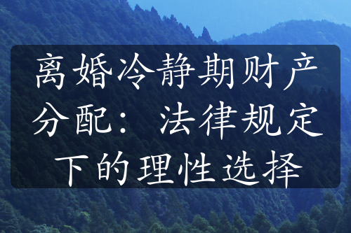 离婚冷静期财产分配：法律规定下的理性选择