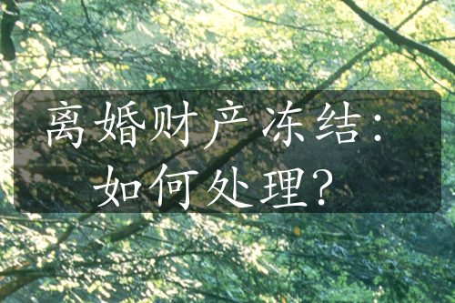 离婚财产冻结：如何处理？