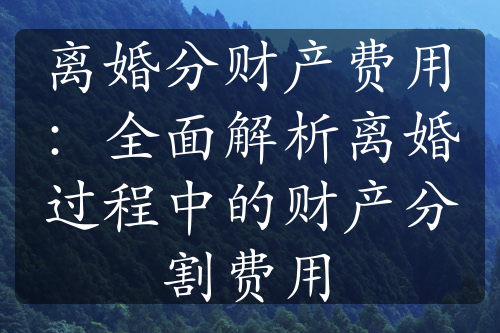 离婚分财产费用：全面解析离婚过程中的财产分割费用