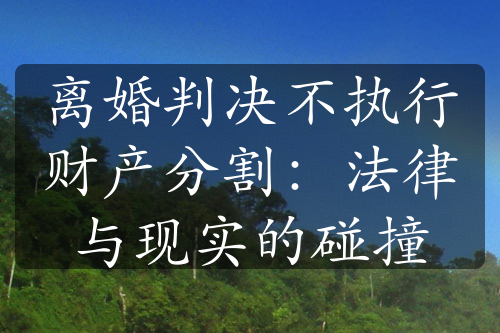 离婚判决不执行财产分割：法律与现实的碰撞