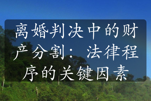 离婚判决中的财产分割：法律程序的关键因素