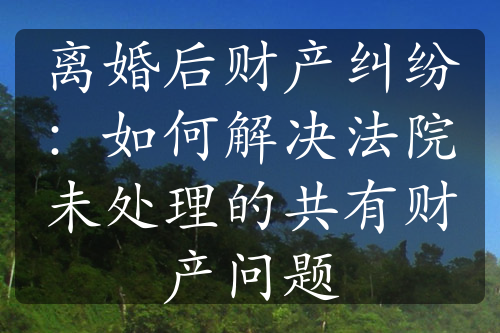 离婚后财产纠纷：如何解决法院未处理的共有财产问题