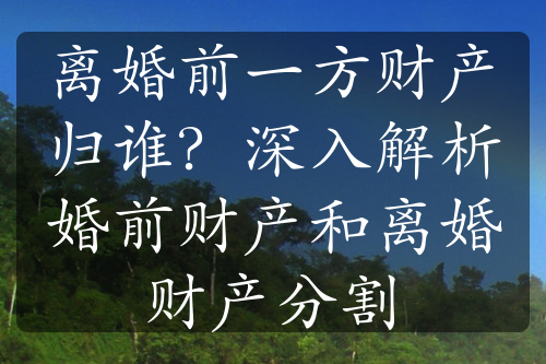 离婚前一方财产归谁？深入解析婚前财产和离婚财产分割