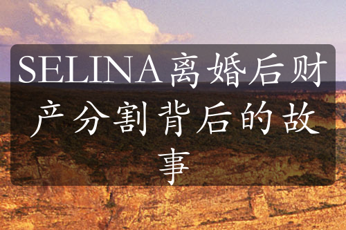 SELINA离婚后财产分割背后的故事