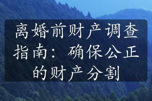 离婚前财产调查指南：确保公正的财产分割