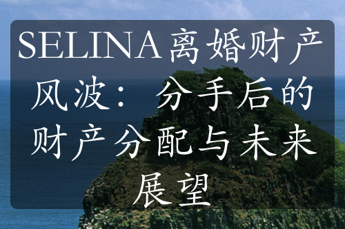 SELINA离婚财产风波：分手后的财产分配与未来展望