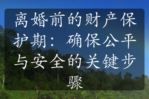 离婚前的财产保护期：确保公平与安全的关键步骤