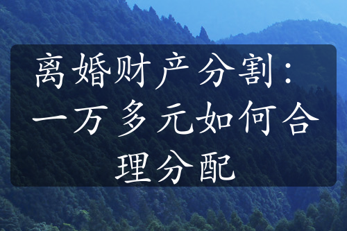 离婚财产分割：一万多元如何合理分配