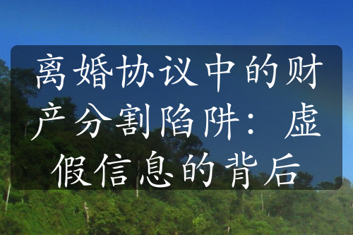 离婚协议中的财产分割陷阱：虚假信息的背后