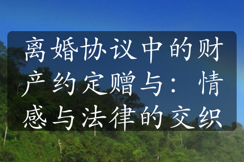 离婚协议中的财产约定赠与：情感与法律的交织