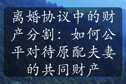 离婚协议中的财产分割：如何公平对待原配夫妻的共同财产