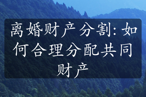 离婚财产分割: 如何合理分配共同财产