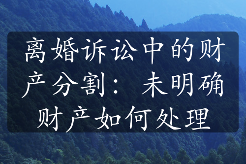 离婚诉讼中的财产分割：未明确财产如何处理