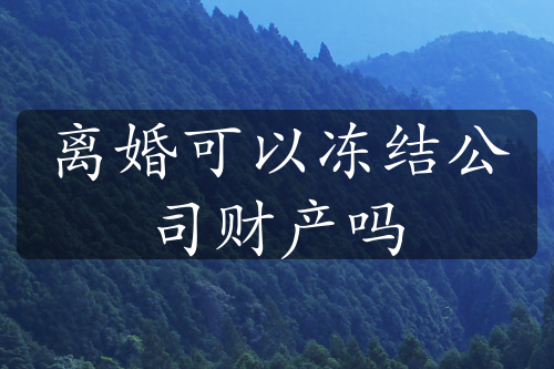 离婚可以冻结公司财产吗