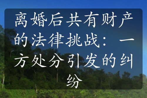 离婚后共有财产的法律挑战：一方处分引发的纠纷