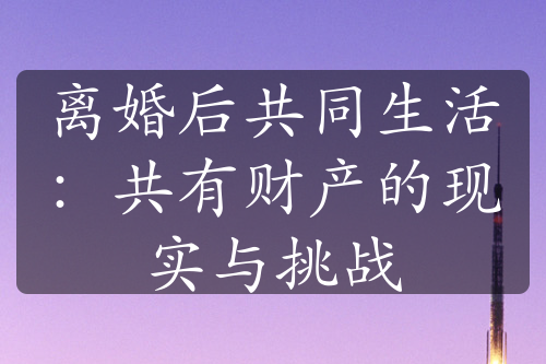 离婚后共同生活：共有财产的现实与挑战