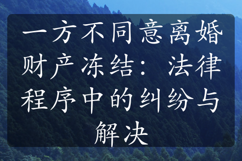 一方不同意离婚财产冻结：法律程序中的纠纷与解决