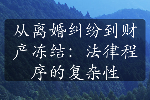 从离婚纠纷到财产冻结：法律程序的复杂性