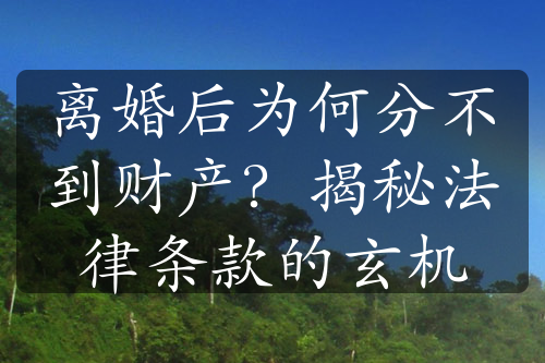 离婚后为何分不到财产？揭秘法律条款的玄机