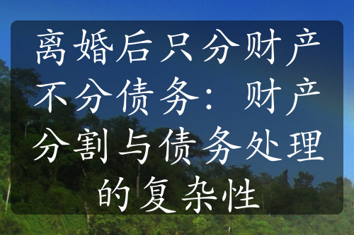 离婚后只分财产不分债务：财产分割与债务处理的复杂性