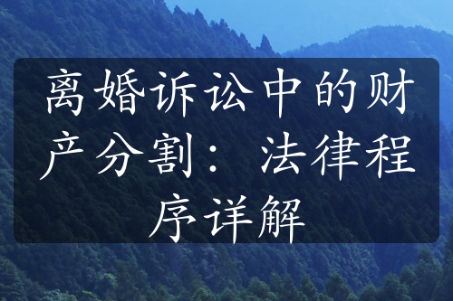 离婚诉讼中的财产分割：法律程序详解