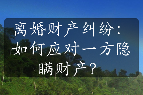 离婚财产纠纷：如何应对一方隐瞒财产？