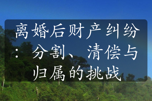 离婚后财产纠纷：分割、清偿与归属的挑战