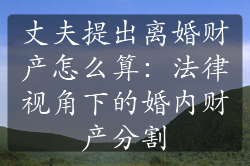 丈夫提出离婚财产怎么算：法律视角下的婚内财产分割