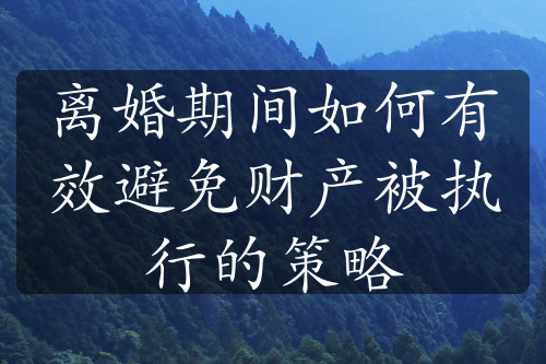 离婚期间如何有效避免财产被执行的策略