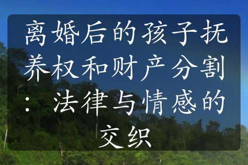 离婚后的孩子抚养权和财产分割：法律与情感的交织