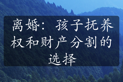 离婚：孩子抚养权和财产分割的选择