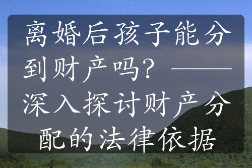 离婚后孩子能分到财产吗？——深入探讨财产分配的法律依据