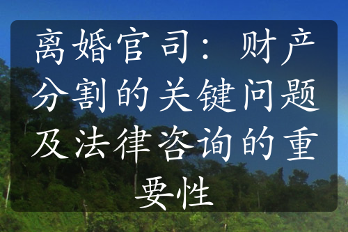 离婚官司：财产分割的关键问题及法律咨询的重要性