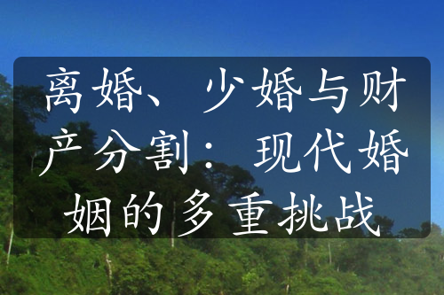 离婚、少婚与财产分割：现代婚姻的多重挑战