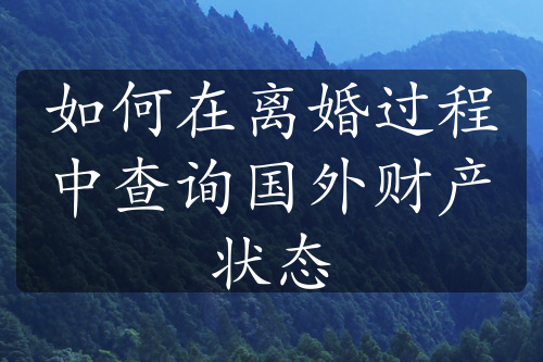 如何在离婚过程中查询国外财产状态