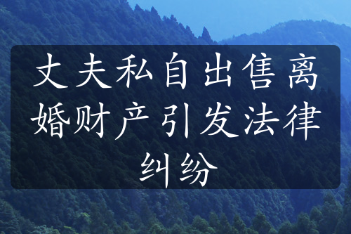 丈夫私自出售离婚财产引发法律纠纷