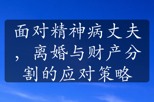 面对精神病丈夫，离婚与财产分割的应对策略