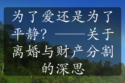 为了爱还是为了平静？——关于离婚与财产分割的深思